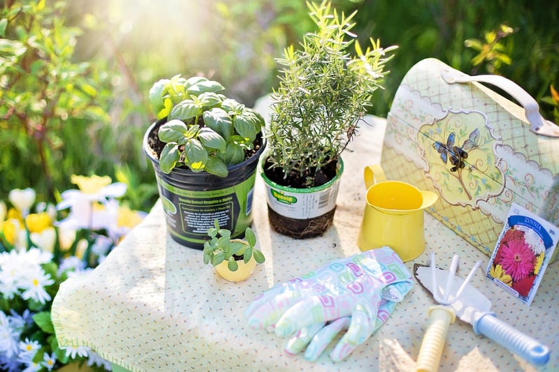 Herb garden kits
